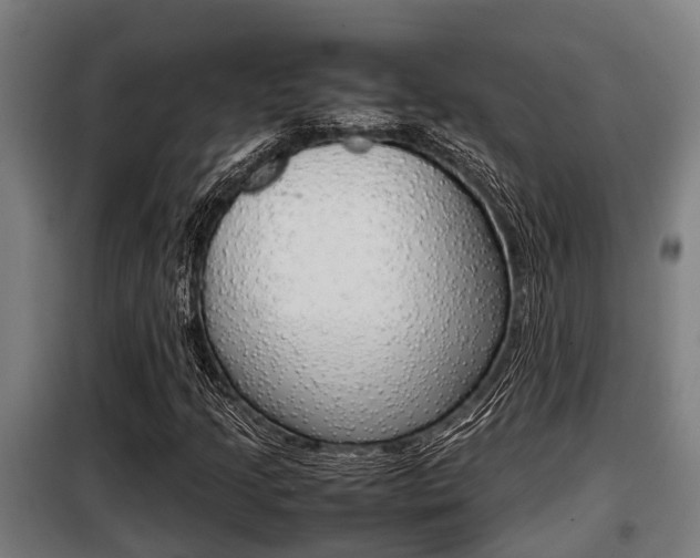 X0000098071205200804040719