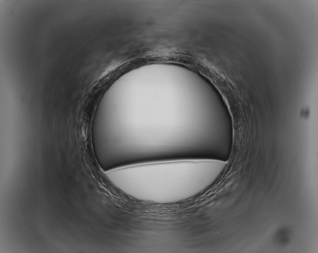X0000098071206200804040719