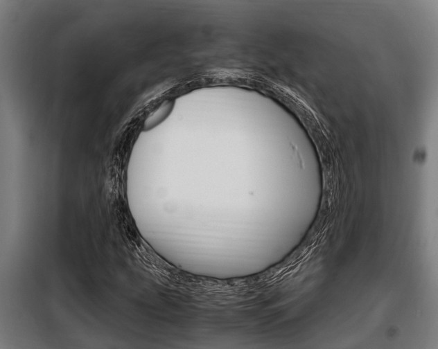 X0000098071207200804040719