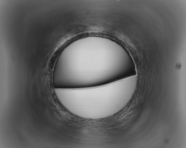 X0000098071208200804040719