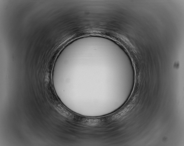 X0000098071209200804040719