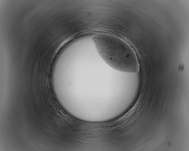 X0000098071210200804040720