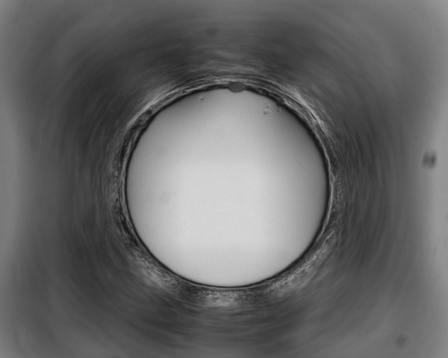 X0000098071211200804040720