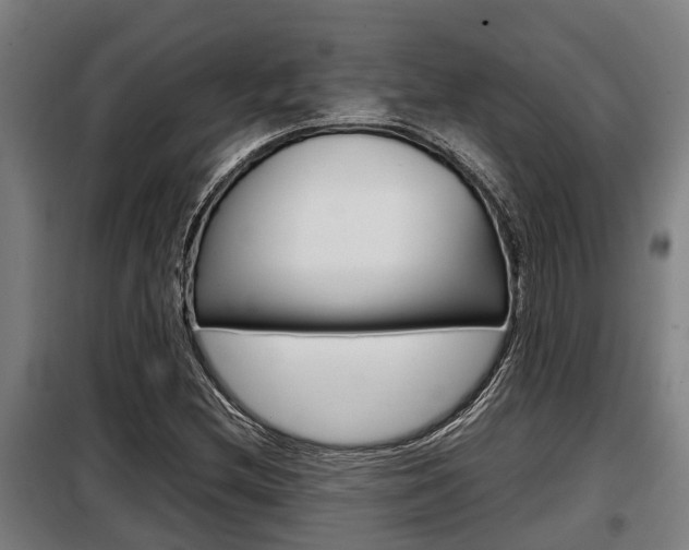 X0000098071212200804040720