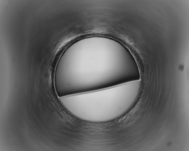 X0000098071214200804040720