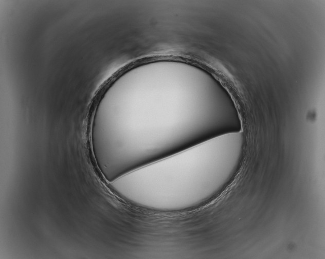 X0000098071216200804040720