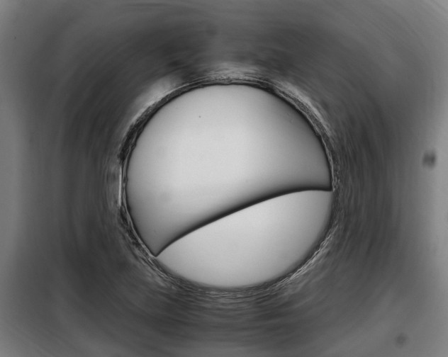 X0000098071219200804040720
