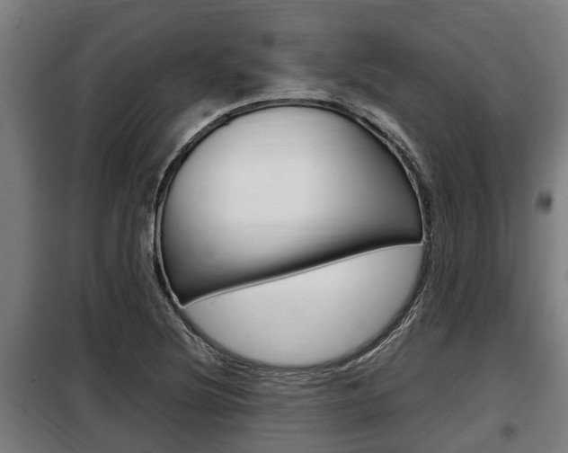 X0000098071220200804040720