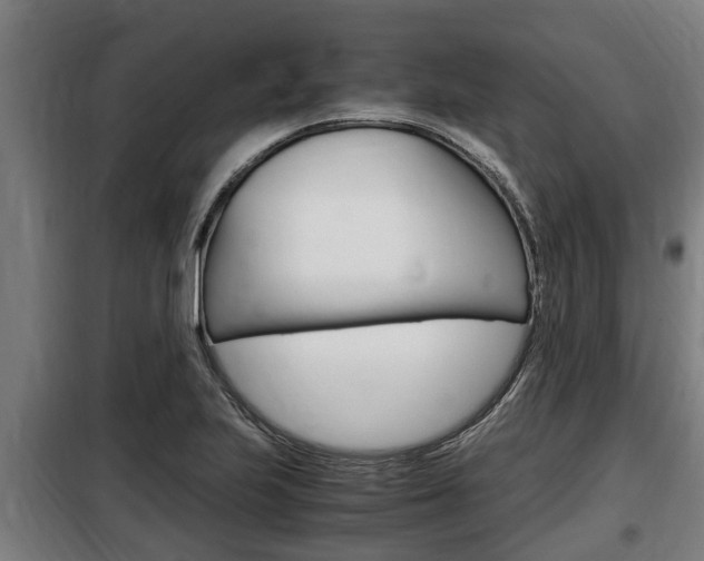 X0000098071223200804040720