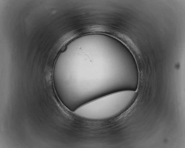 X0000098071225200804040720