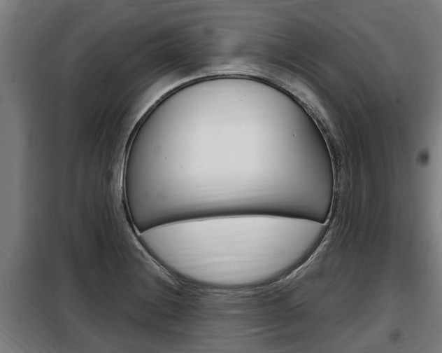 X0000098071228200804040720