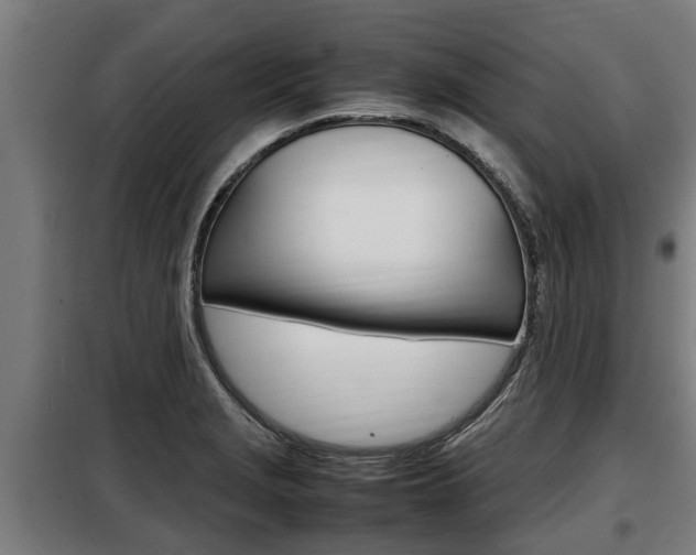 X0000098071229200804040720