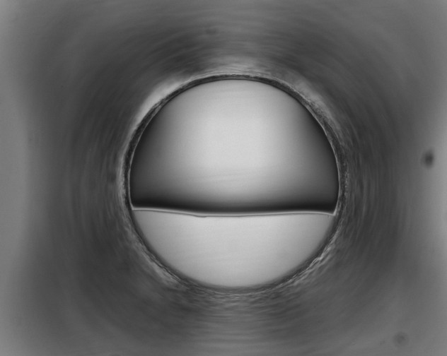 X0000098071230200804040720