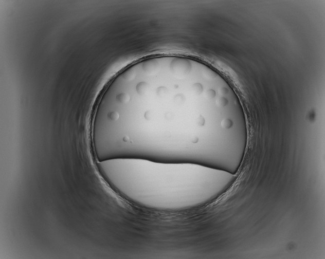 X0000098071231200804040720