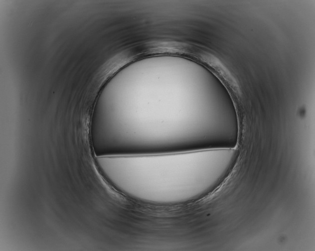 X0000098071233200804040720