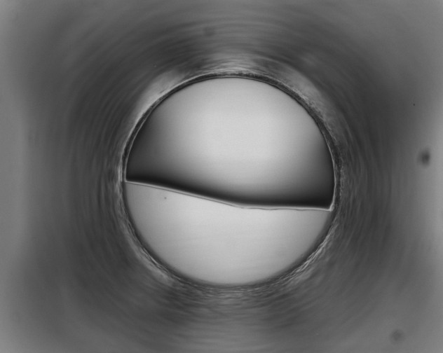 X0000098071234200804040720