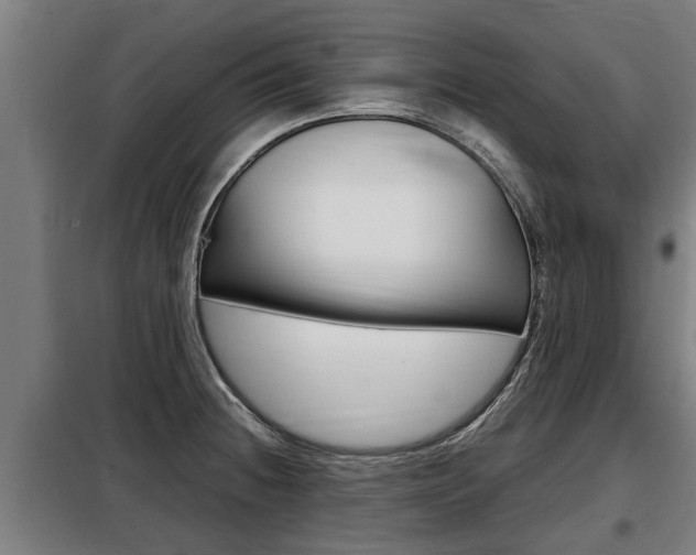 X0000098071236200804040720