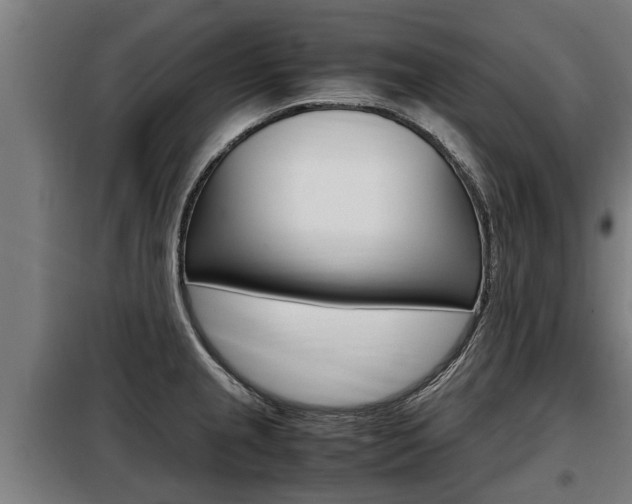 X0000098071237200804040720