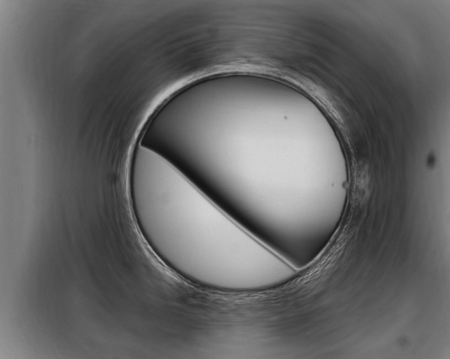 X0000098071246200804040720