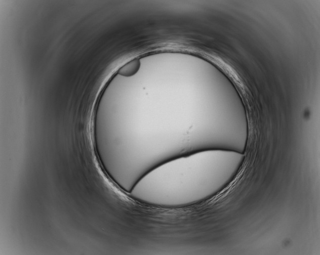 X0000098071247200804040720