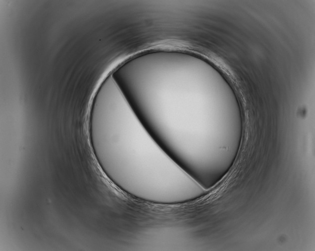 X0000098071248200804040720