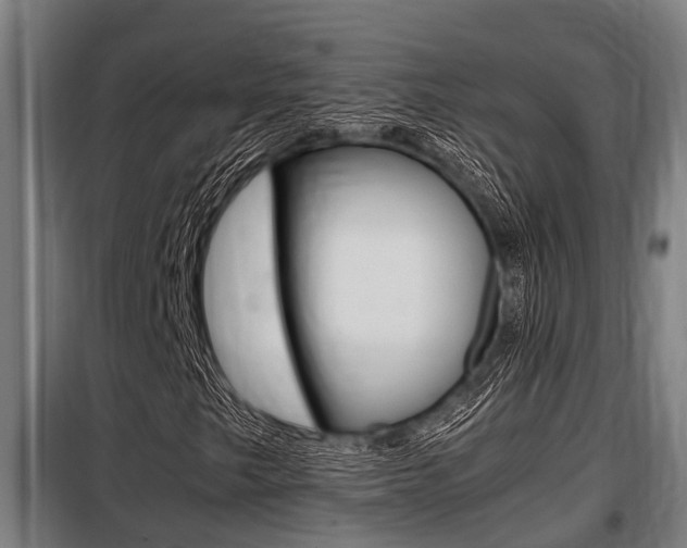 X0000098071249200804040719