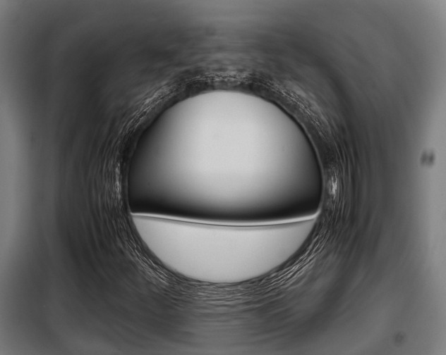 X0000098071252200804040719