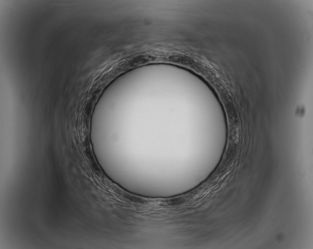 X0000098071253200804040719