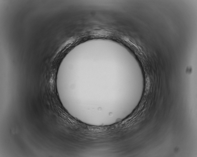 X0000098071254200804040719