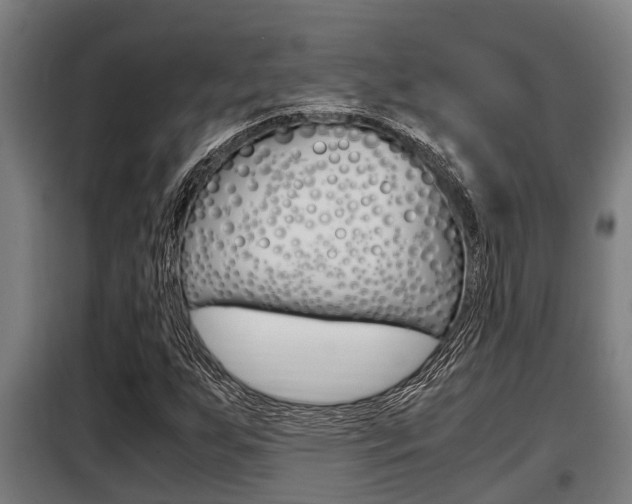 X0000098071255200804040719