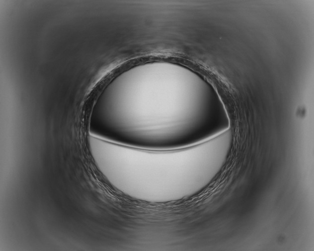 X0000098071256200804040719