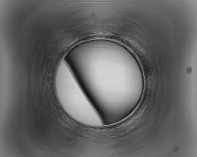 X0000098071257200804040719