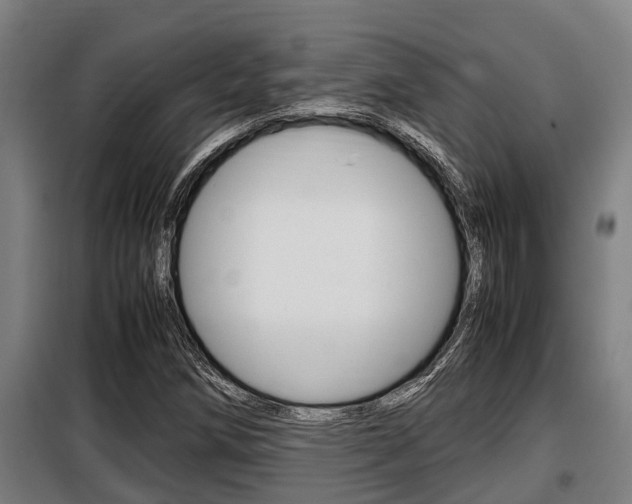 X0000098071258200804040719