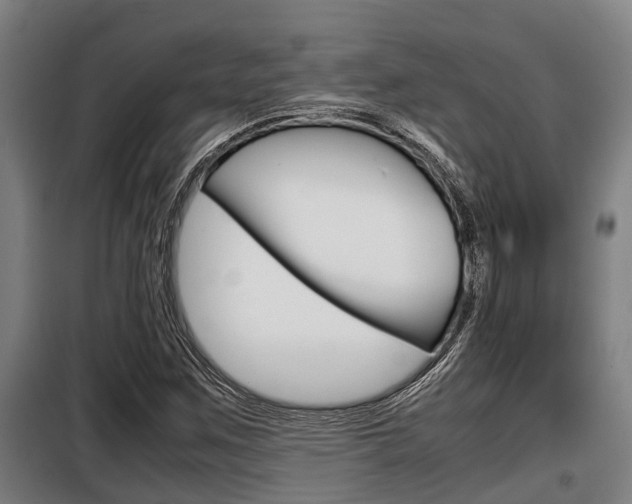 X0000098071259200804040719