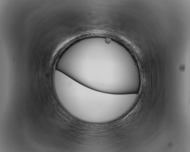 X0000098071262200804040719