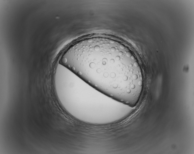 X0000098071263200804040719