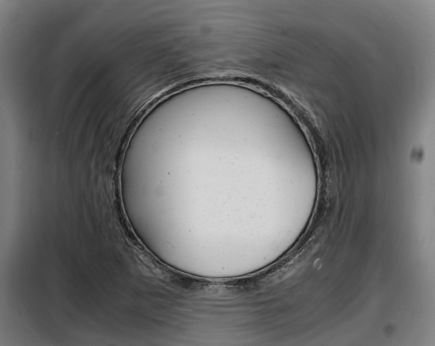 X0000098071265200804040719