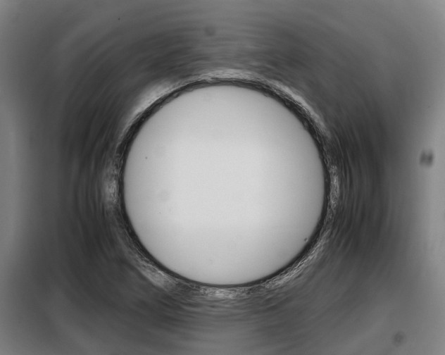 X0000098071266200804040719
