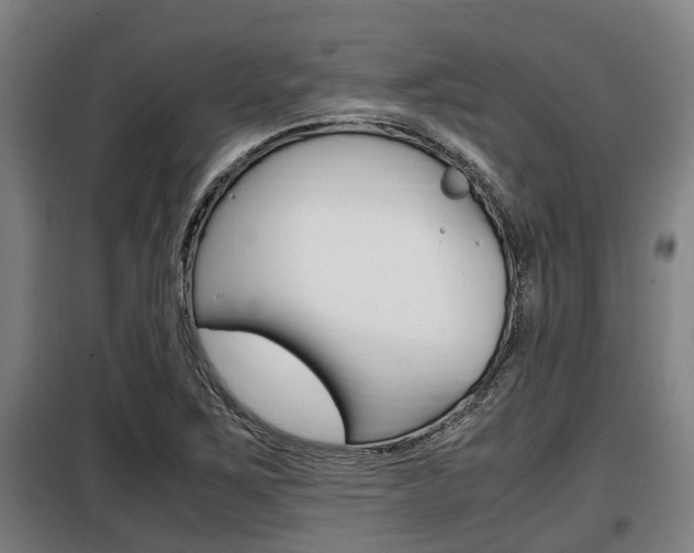 X0000098071267200804040719
