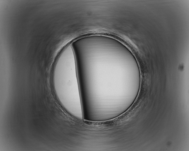X0000098071269200804040719