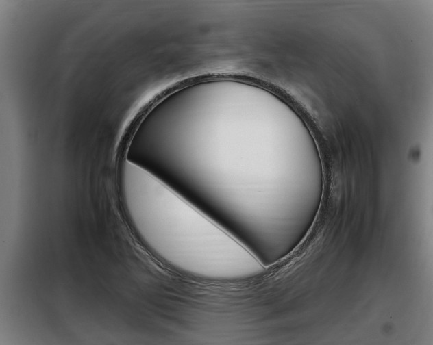X0000098071270200804040719