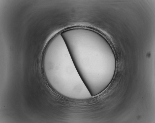 X0000098071271200804040719