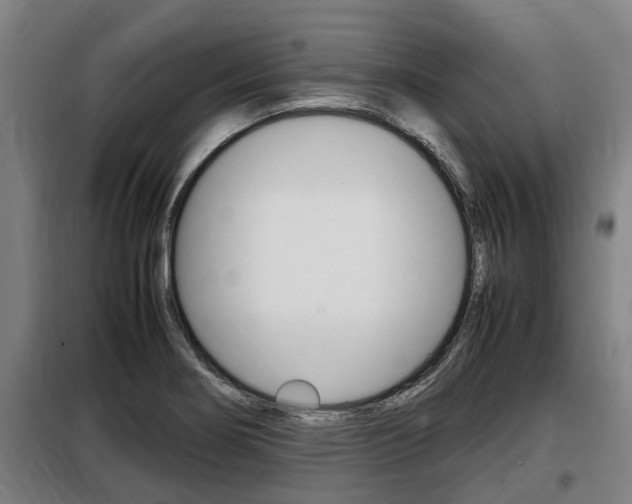 X0000098071274200804040719