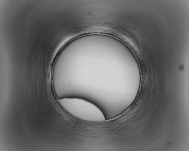 X0000098071275200804040719