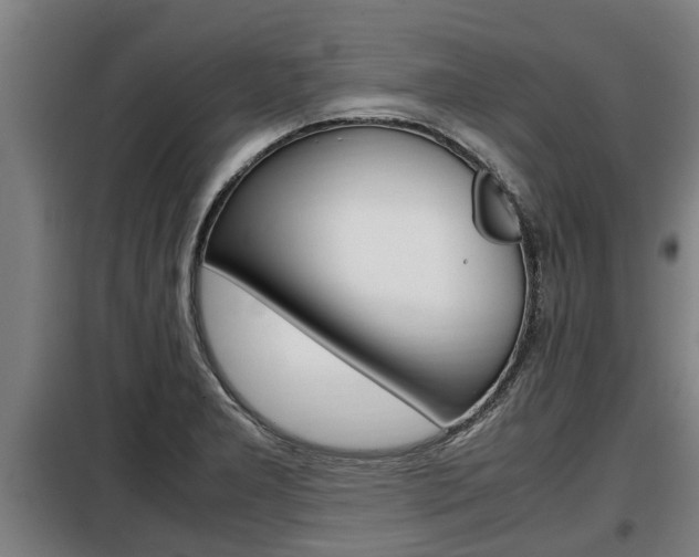 X0000098071277200804040719