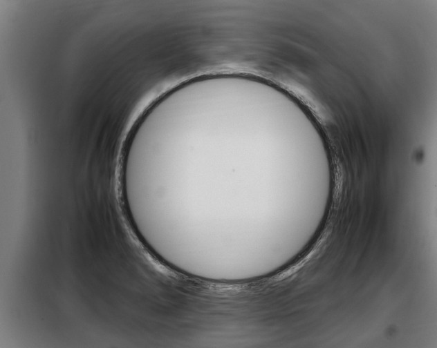 X0000098071278200804040719