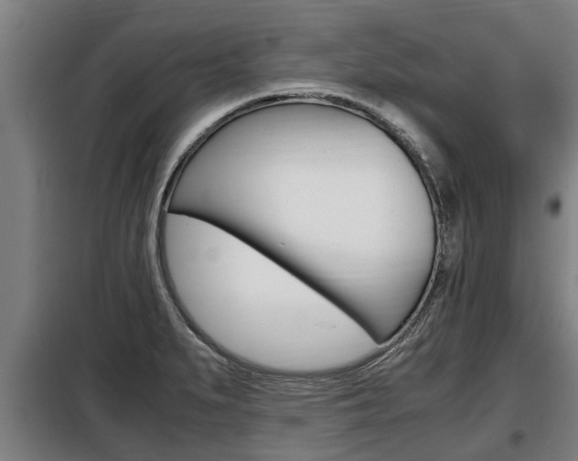 X0000098071279200804040719