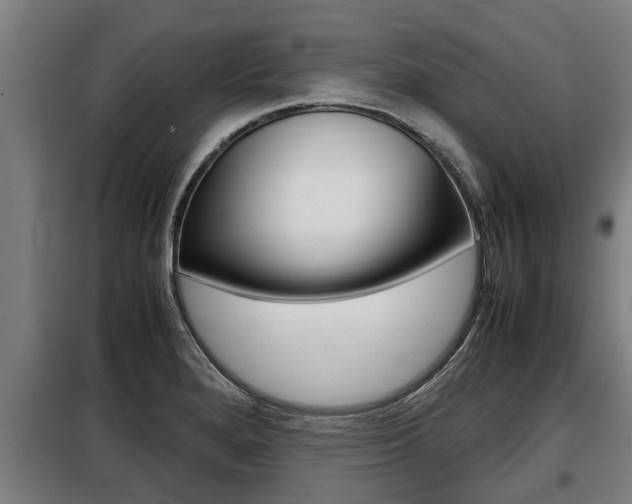 X0000098071280200804040719