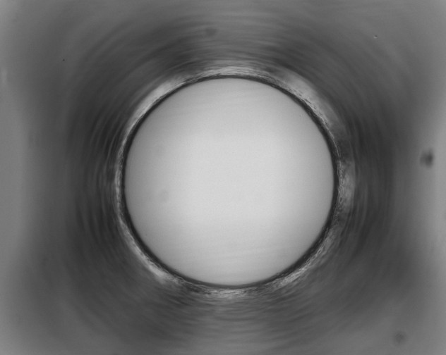 X0000098071282200804040719