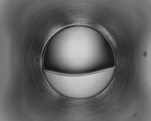 X0000098071284200804040719